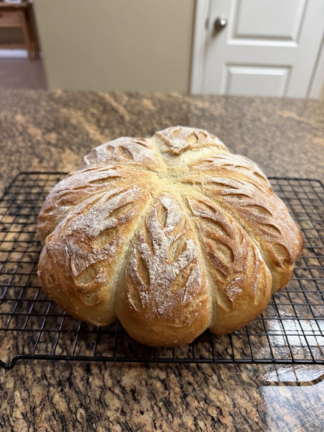 Lisha's autumn bake scored into a pumpkin shape