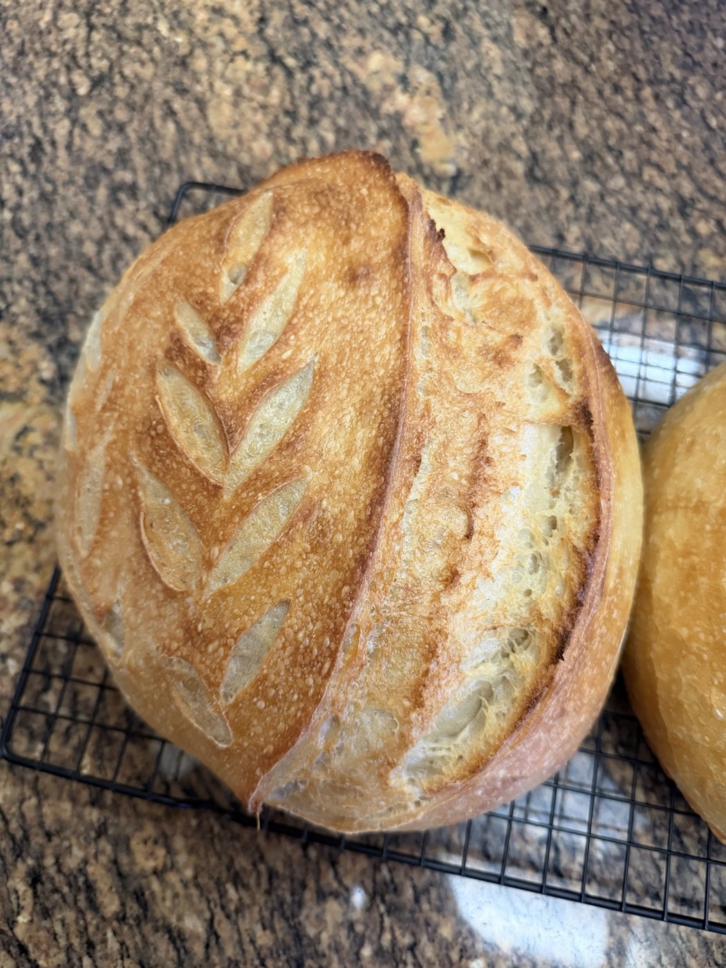 Golden sourdough loaf with a hand-scored leaf pattern